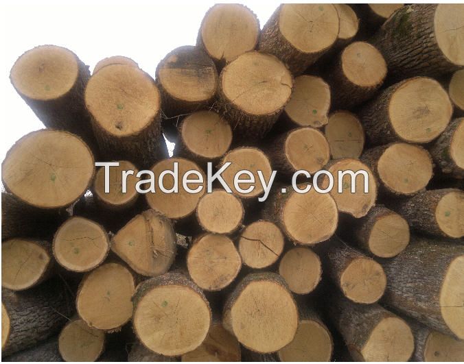 Timber, sawlog, round wood whites (ash, oak,hornbeam, pine, alder, beech, birch)