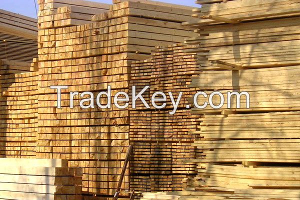 Wood timber and wood board pine oak alder birch beech ash