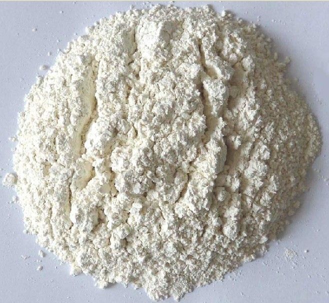 white onion powder