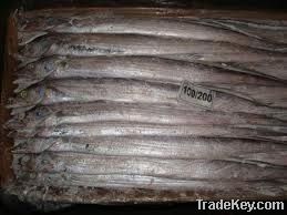 alaska pollock fish