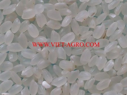 Vietnam japonica rice