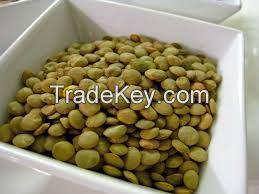 Quality Richlea Green Lentils