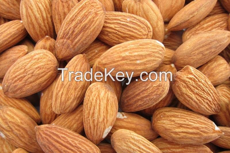 Raw Whole Natural Raw Almonds nuts, Apricot Seeds, Almond Nut Halves, Almond Flour