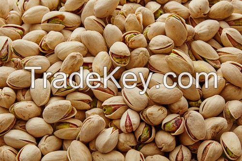 Pistachio Nuts - Inshell, Roasted, No Salt, Raw Salted Pistachios