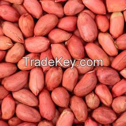 Peanut Kernels And Raw Peanut, Peanuts  Groundnuts for sale