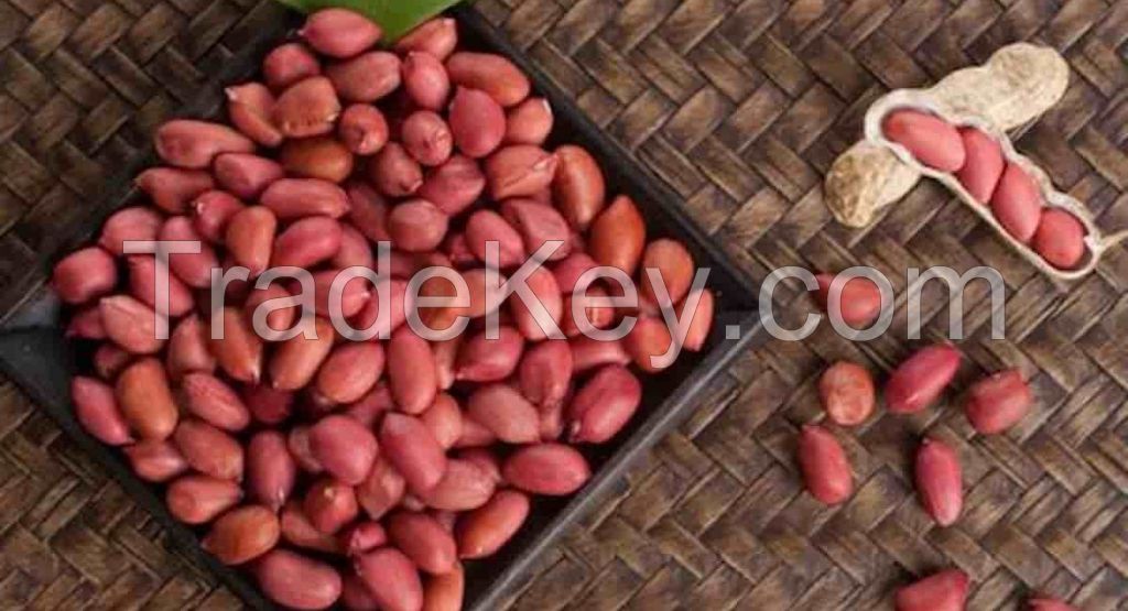 Red Skin Peanuts, Bold Peanut Kernels, Hazel Nuts, Groundnuts for sale