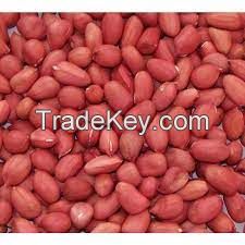 Roasted, Raw And Organic Raw Peanuts, Red Skin Peanuts, Hazel Nuts, Groundnuts for sale
