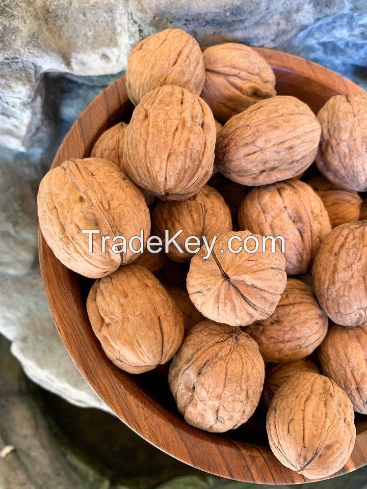 In-shell and shelled fresh Walnuts for sale, Buy Bulk Halves and Pieces Walnut Kernels