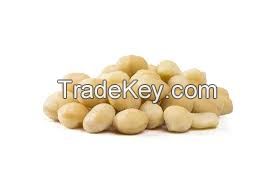 Organic Whole Macadamia Nuts, Buy Raw Macadamia Kernels Online, Nuts and Snacks