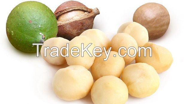 Macadamia Nuts & Kernels for sale, Hazel Nuts, Pecan Nuts for sale