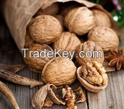 WALNUTS IN SHELL NATURAL WIS, In Shell California Walnuts