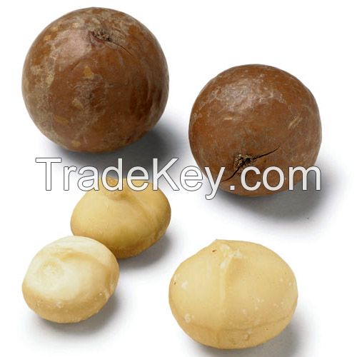 Roasted Salted Macadamia Nuts & Kernels for sale, Hazel Nuts, Pecan Nuts for sale