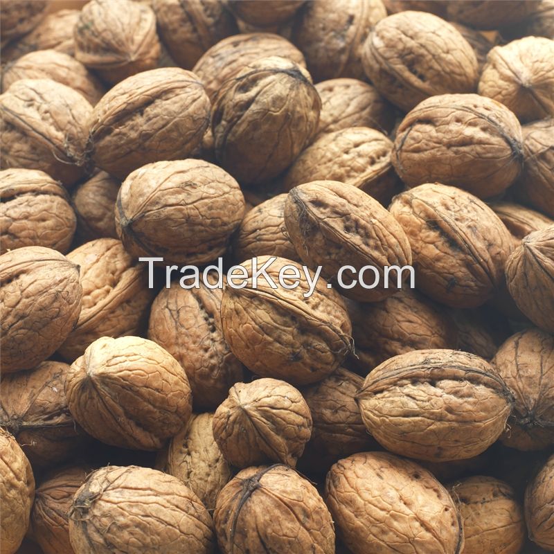 In-shell and shelled fresh Walnuts for sale, Buy Bulk Halves and Pieces Walnut Kernels