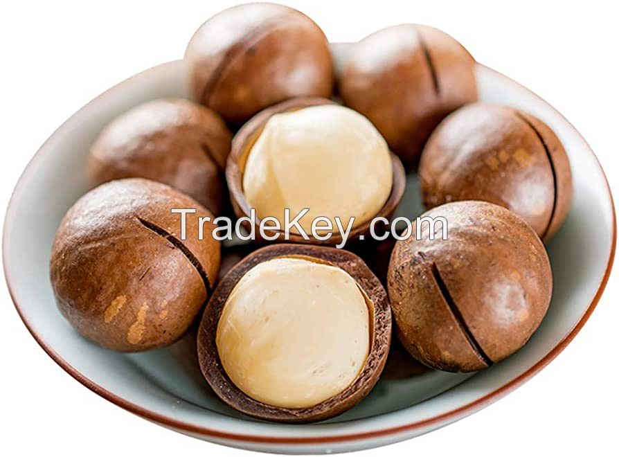 Roasted Salted Macadamia Nuts Kernel, Raw Macadamia Nuts, Brazil Roasted Macadamia Nuts For Sale