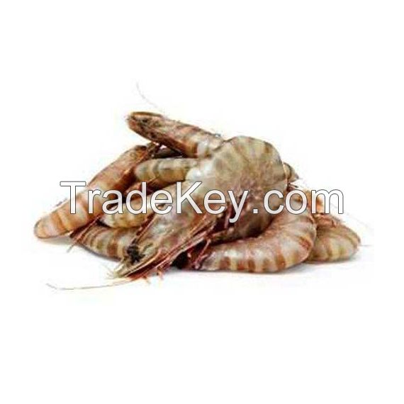 Wholesale Supplier Best Quality Frozen shrimps For Sale In Cheap Price