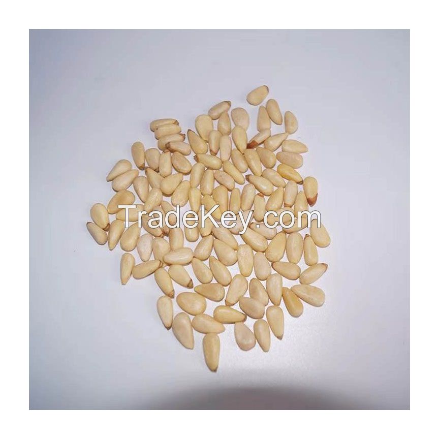 Best Quality Hot Selling Highly Nutritious Sweet and Crunchy Natural Pine Nuts Kernels for Wholesale Purchase