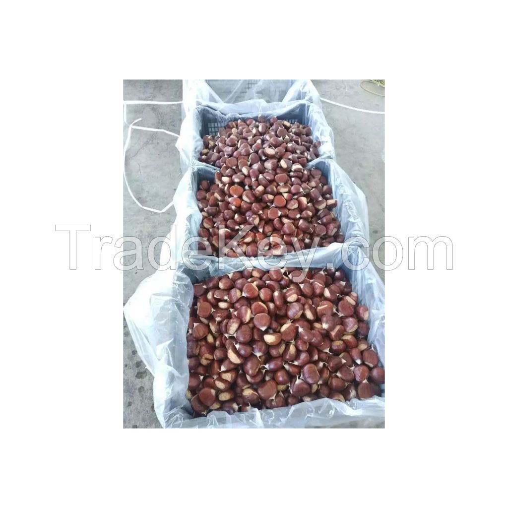 2022 Newly Organic Peeled Roasting Chinese Chestnut Snack for Sale