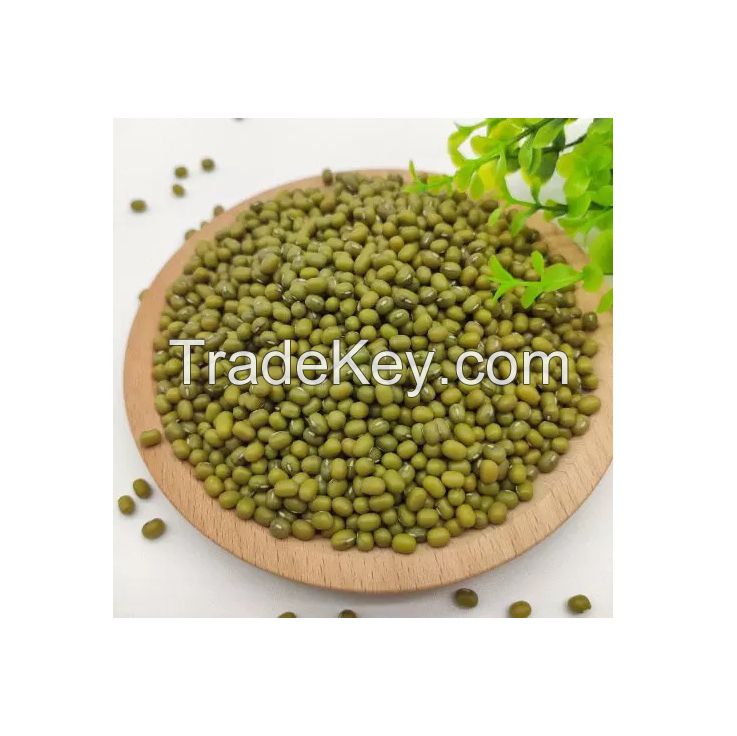 High Quality Buyers Premium Agroculture Natural Protein Green Mung Beans Price From Brazil Best Supplier