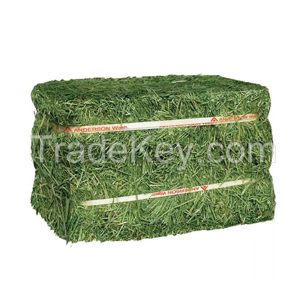 Quality alfalfa hay bays / Alfalfa pellets / Dehydrated Alfalfa cubes timothy hay