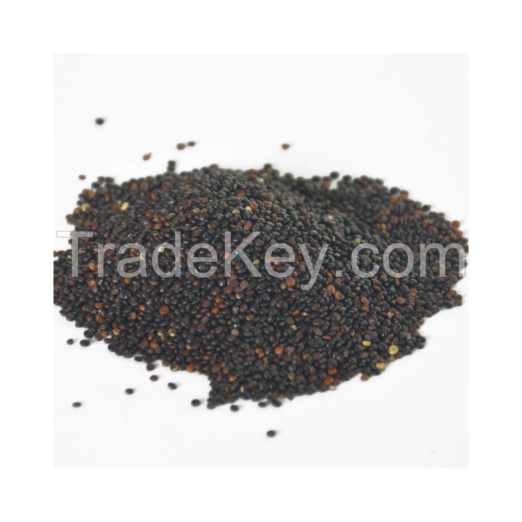 High Quality Natural Organic Bulk Chia Seed