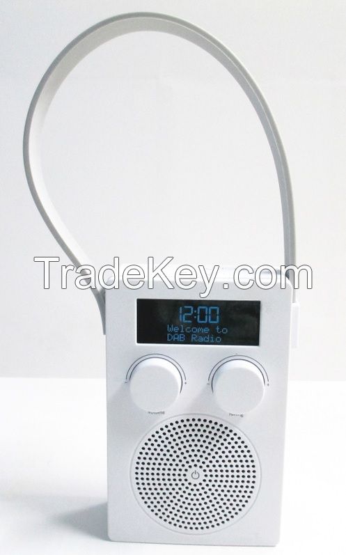 Portable DAB radio