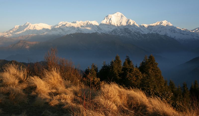 Ghorepani- Poonhill Trekking