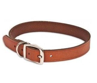 luxury tan leather dog collar