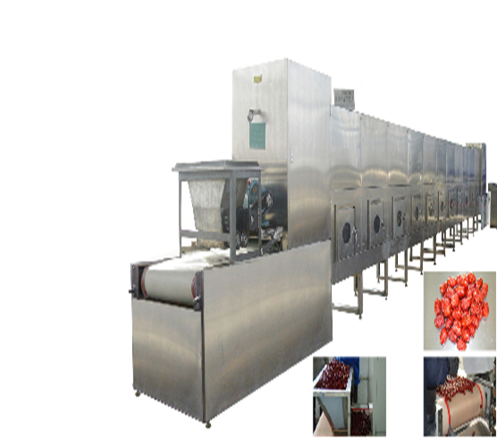 Tunnel micorwave sterilizing & drying machine