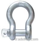 Screw Anchor Shackles