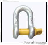 Screw Pin Chain Shackle