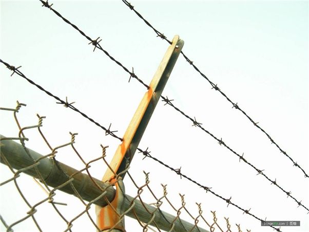 XQ competitive price barbed wire  