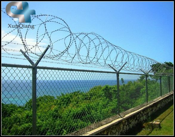 XQ galvanized barbed wire ( manufacturer )