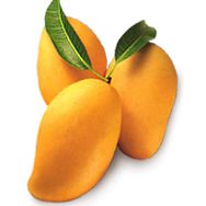 Mangoes 