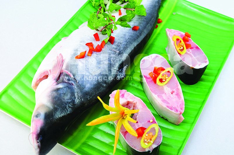 Whole Round Pangasius