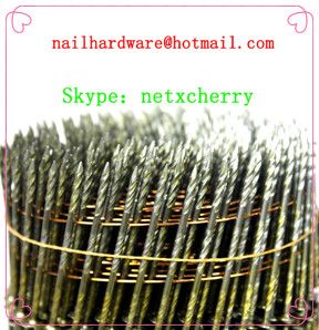  screw shank electero galvanized coil nailer nails 