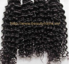 Vietnamese Curly Virgin Hair
