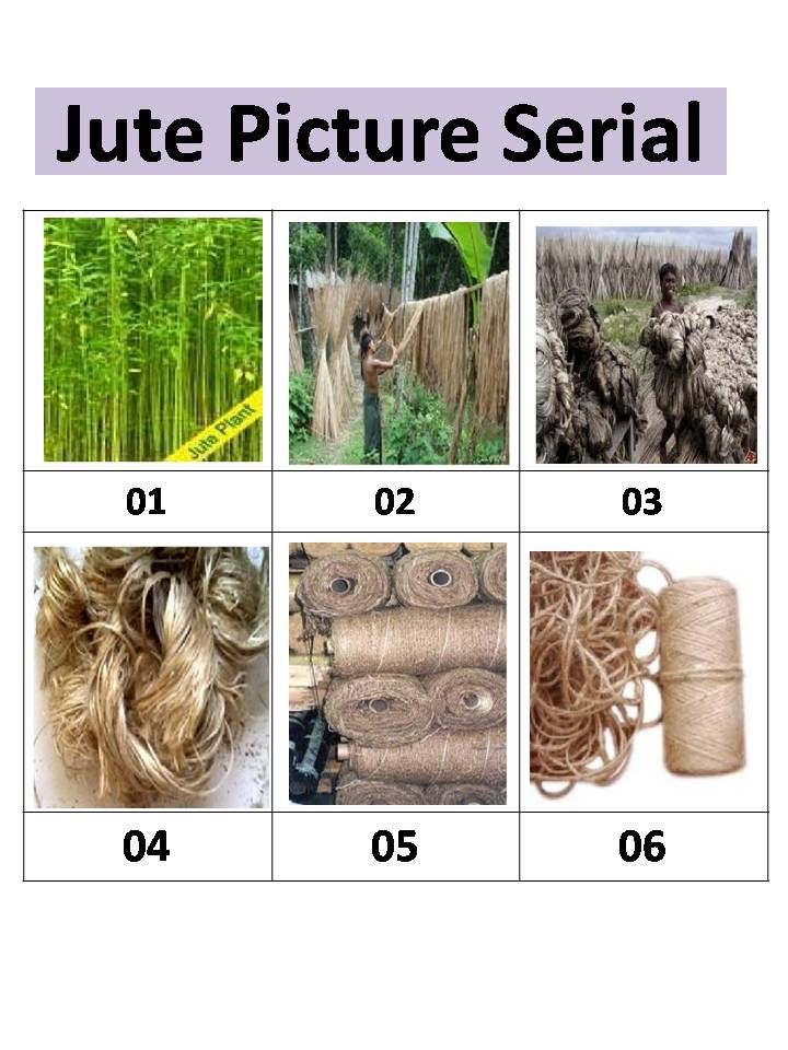 Raw Jute and Jute Yarn 