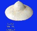 bamboo hats