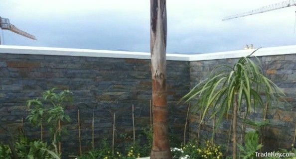 Slate (Culture Stone), Natural for Garden, Villa, Home and All of Buil