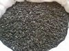 Sunflower Seed For oil