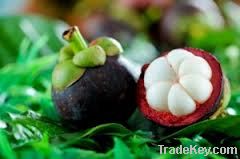 Mangosteen extract