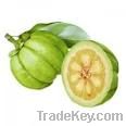 Garcinia cambogia extract