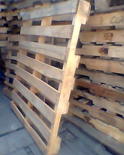 Plastic Pallets