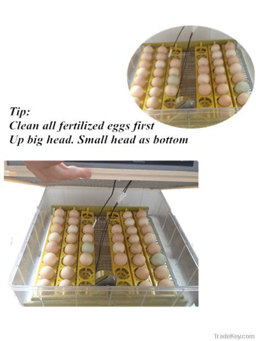 2014 Newest CE approved full automatic transparent 144 quail eggs