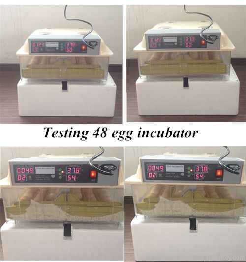 2014 Newest CE approved full automatic transparent 144 quail eggs