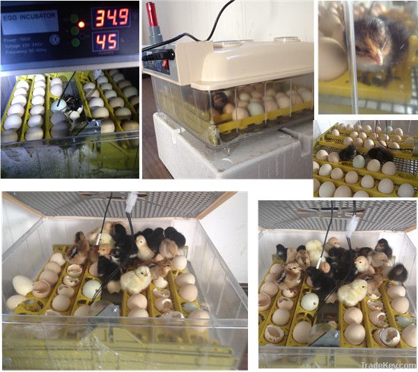 2014 Newest CE approved full automatic transparent 144 quail eggs