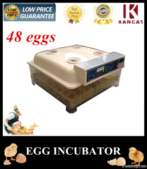 Wholesale Digital Mini Egg Incubator for Sale 48 Eggs Fully Automatic