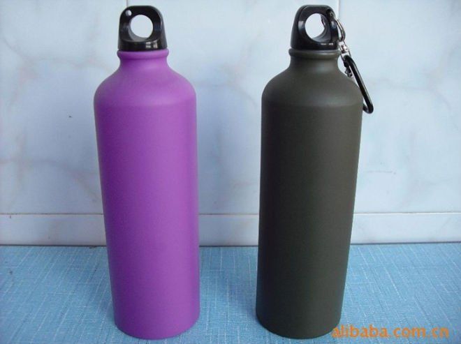 2013 750ML new style stainless steel water bottle