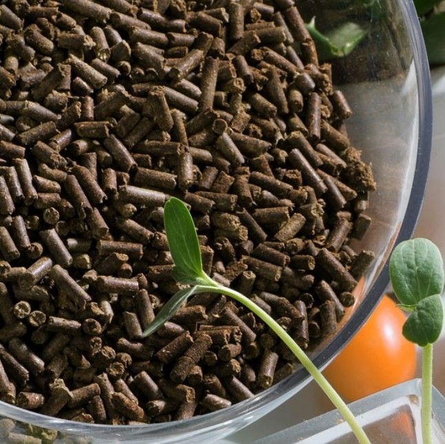 Tea Seed Meal Granule - Organic fertilizer