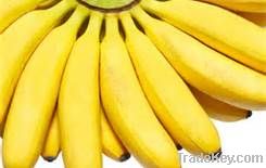 fresh bananas